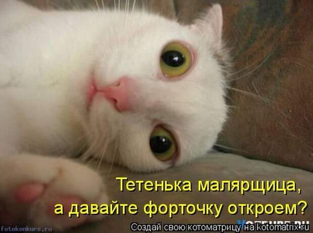 Котоматрица. Мысли вслух :)