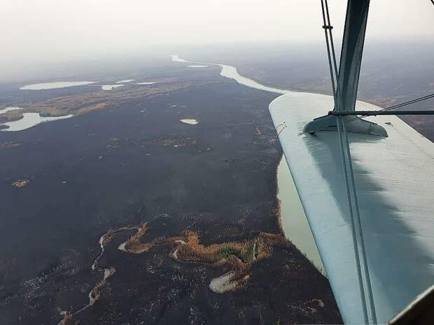 Пожары в Якутии постепенно стихают, этому поспособствовал и выпавший накануне снег. Якутские леса сейчас выглядят так.