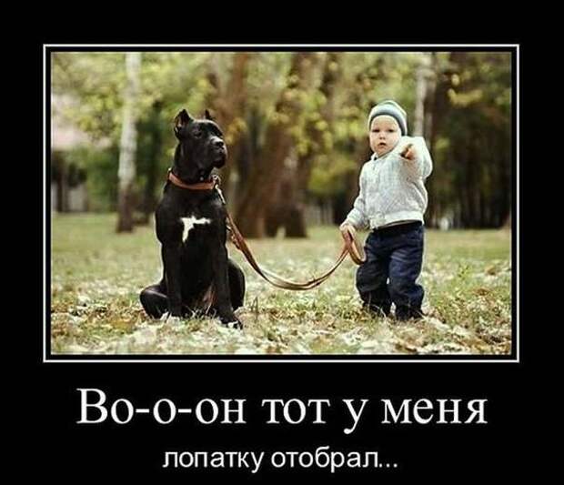 Демотиваторы. Подборка chert-poberi-chert-poberi-43350805052020-18 картинка chert-poberi-43350805052020-18