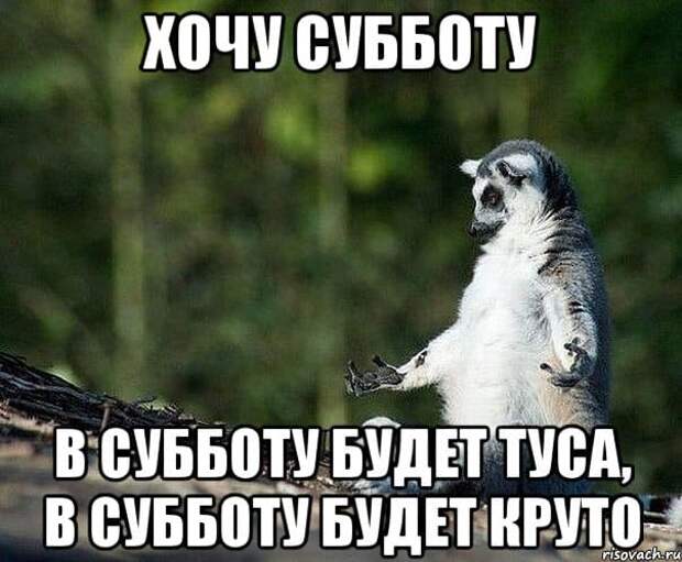 Коллекция весёлых картинок про субботу