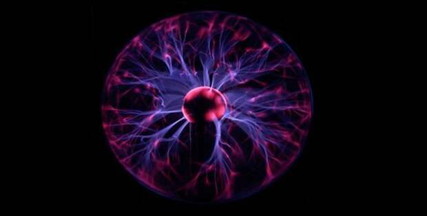 интересное, планета, жизнь, животные, люди, факты