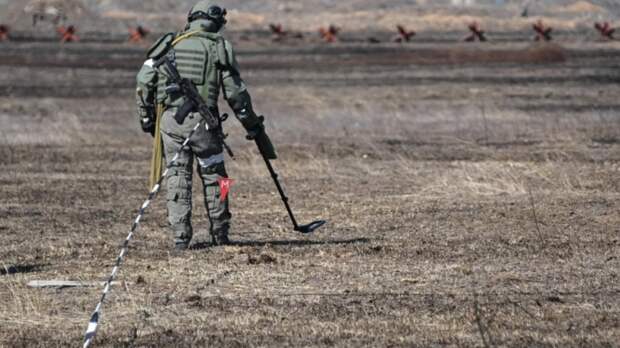 В Калининградской области уничтожили шесть авиабомб времён войны