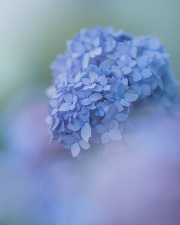 www.vsyako.net