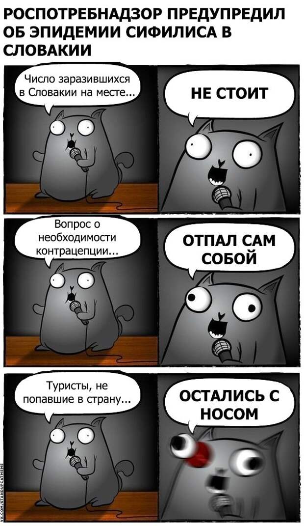 Стендап-кот и его коллекция саркастических комиксов Стендап-кот и его коллекция саркастических комиксов