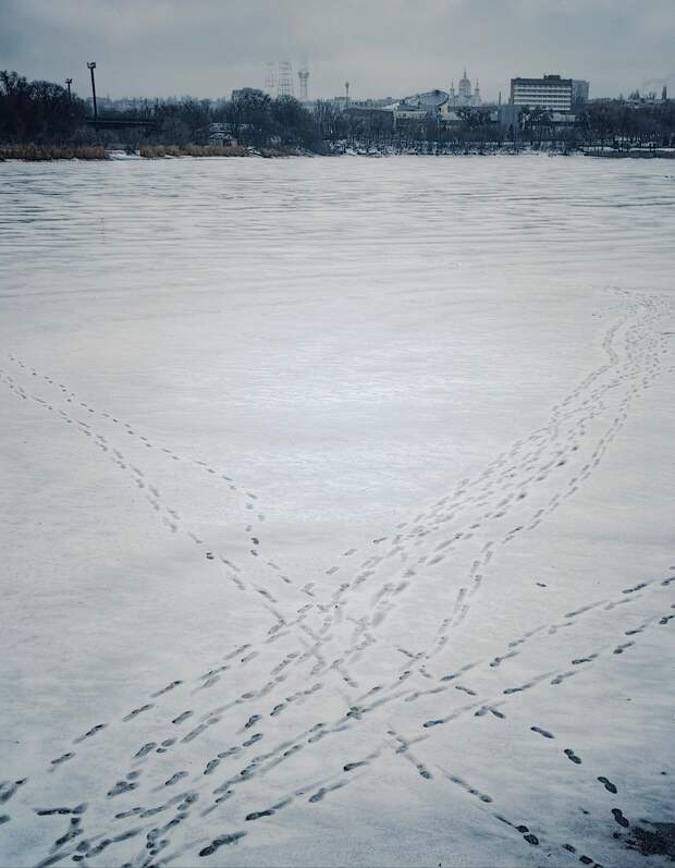 Донецк сегодня