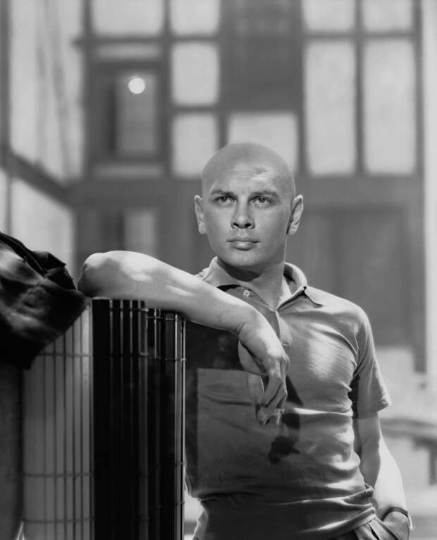 https://st.kp.yandex.net/im/kadr/8/6/3/kinopoisk.ru-Yul-Brynner-863750.jpg