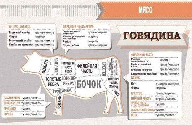 Специальная шпаргалка для кухни. Сохраните, чтобы не забыть!