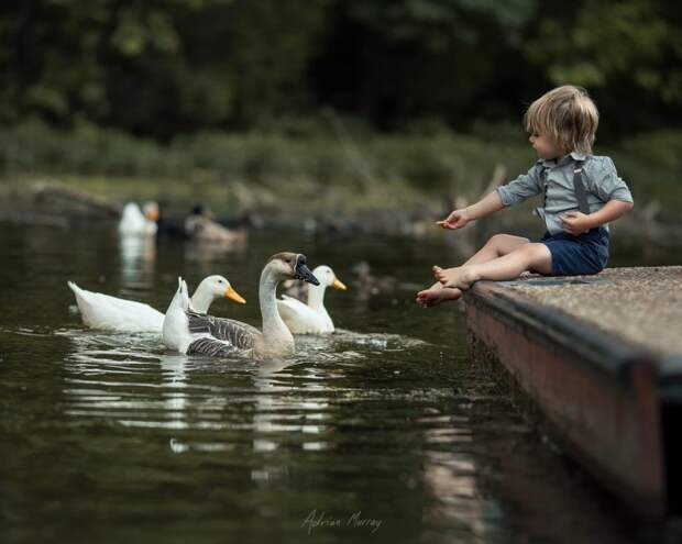 Добрый и волшебный мир детства Adrian Murray., детские фотографии, детство, фотомир
