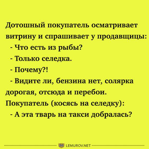 Дотошный. Дотошный человек. Слово дотошный. Дотошный покупатель осматривает витрину. Значение слова дотошный.