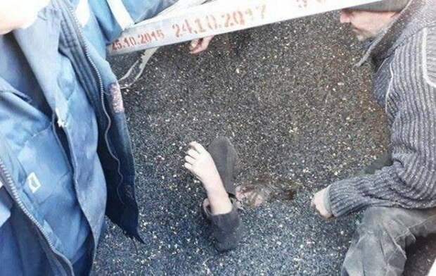 Женщина едва не утонула в цистерне с семечками Женщина едва не утонула в цистерне с семечками