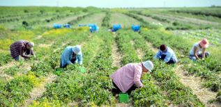 Трудовые мигранты из Украины попали под запрет на въезд в Финляндию