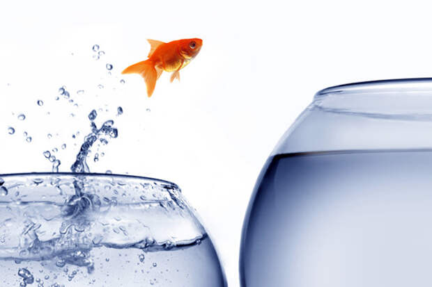 large 1 Were all resistant to change. So whats your resistance type?