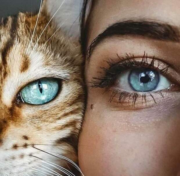 20 душевных фотографий, которые растопят ваше сердце и восполнят нехватку добра 20 душевных фотографий, которые растопят ваше сердце и восполнят нехватку добра