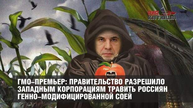 ГМО-премьер: правительство разрешило западным корпорациям травить россиян генно-модифицированной соей