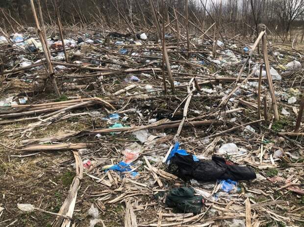 Жителей Тверской области обеспокоили свалки возле деревень