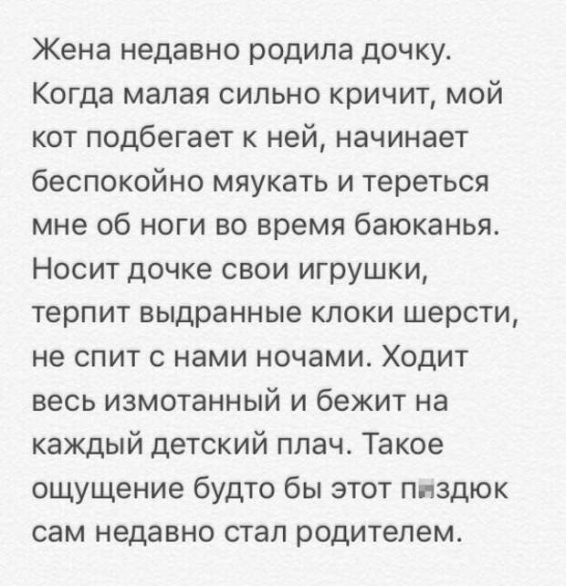 Очередная подборка картинок с подписями картинки с подписями, подборка, позитив, юмор