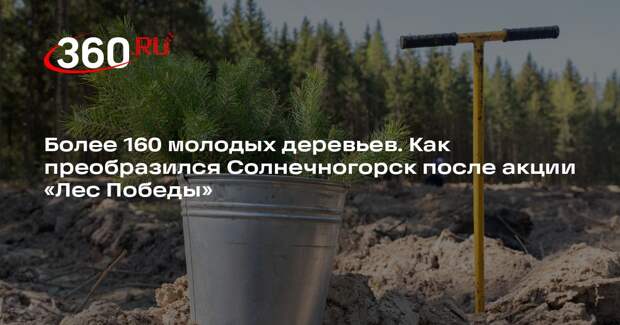 Молодые деревья выросли на месте проведения акции «Лес Победы» в Солнечногорске