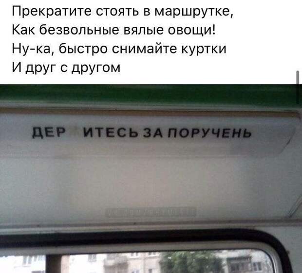 199699_14_trinixy_ru.jpg