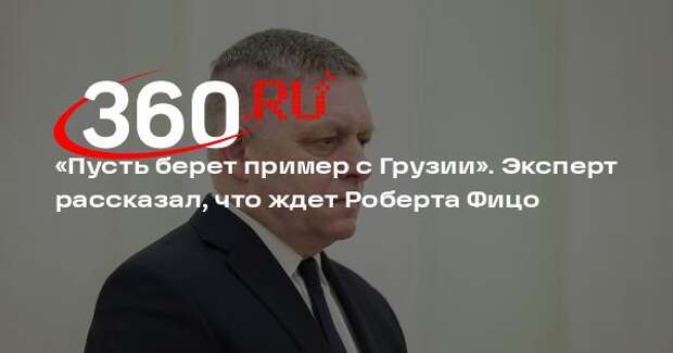 Политолог Светов: Фицо нужно брать пример с Грузии в отношении протестов