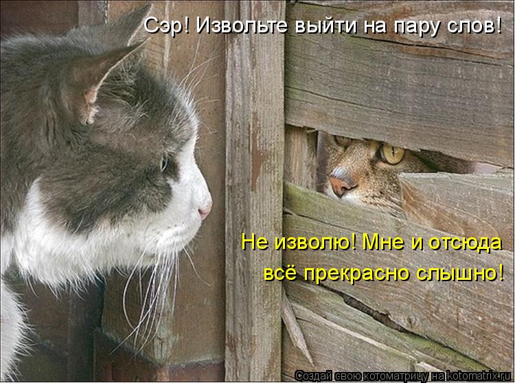 Котоматрица - Сэр! Извольте выйти на пару слов!  Не изволю! Мне и отсюда всё прекрас