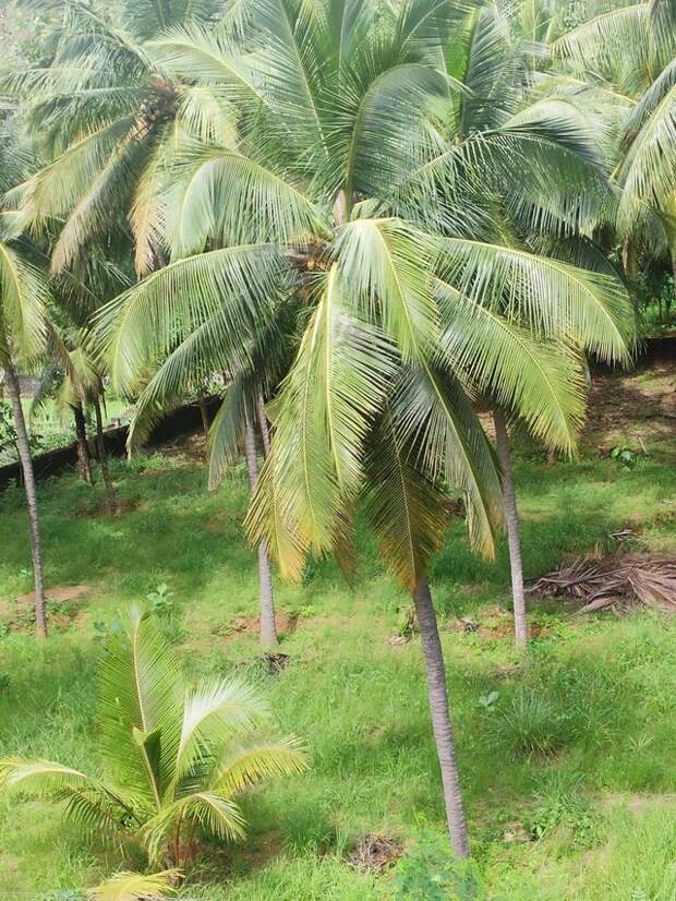 Фотография: 22 странные находки, которые вызвали у людей недоумение №17 - BigPicture.ru