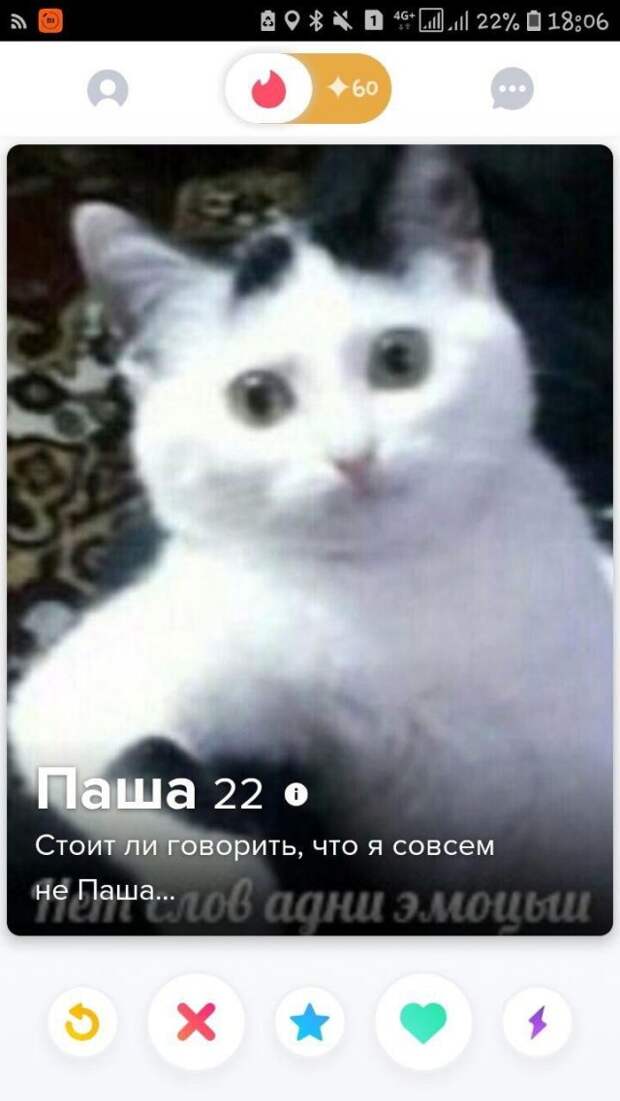 www.vsyako.net