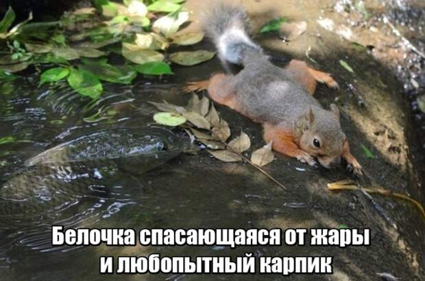 Подборка картинок (20 фото)