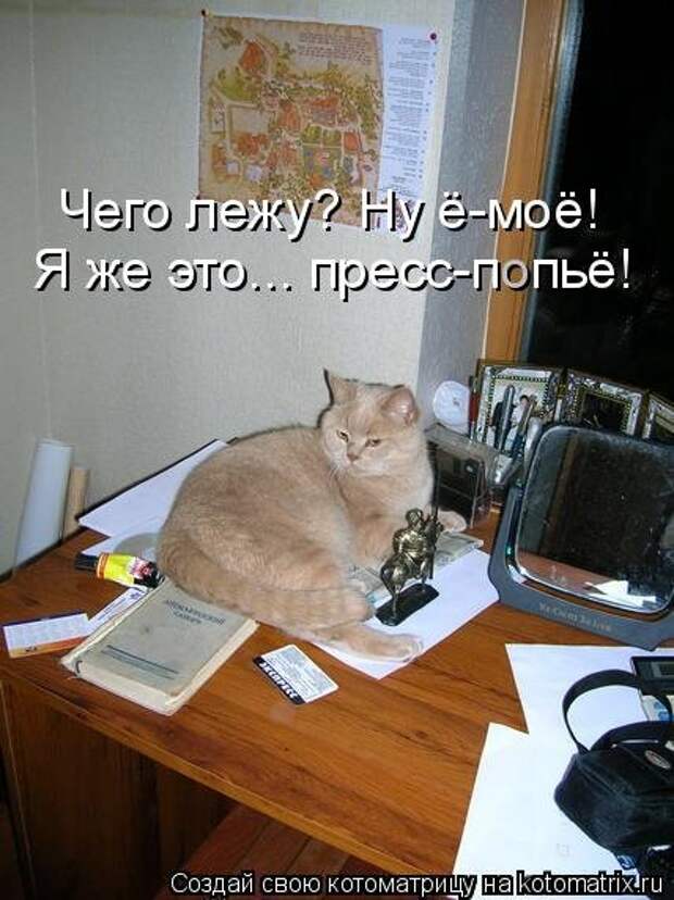 Котоматрица свежак (36 шт)
