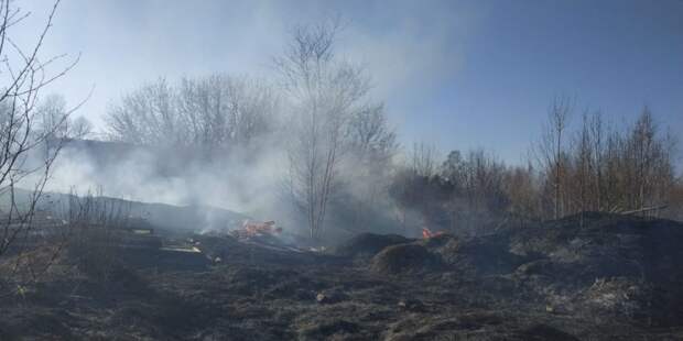 Опубликованы фото выжженных полей под Тверью