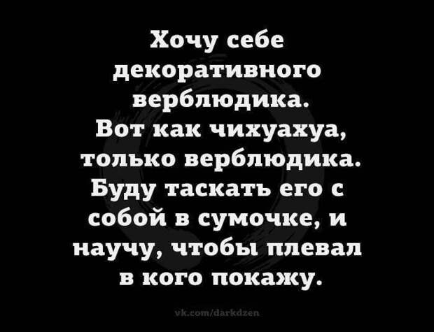 17 разрывных анекдотов для отличного настроя. Позитив на весь день! 17 разрывных анекдотов для отличного настроя. Позитив на весь день!