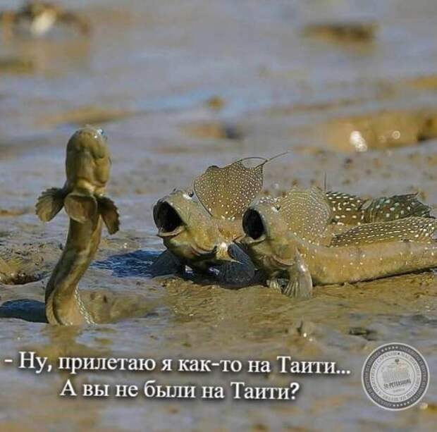Таити