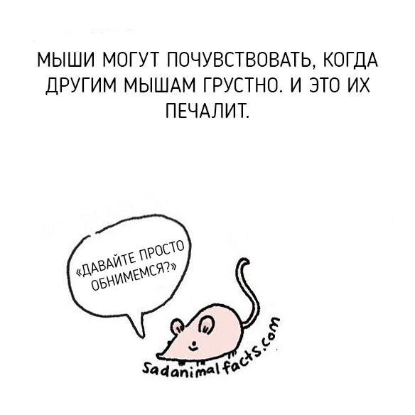 Неожиданная правда о животных от Брук Баркер