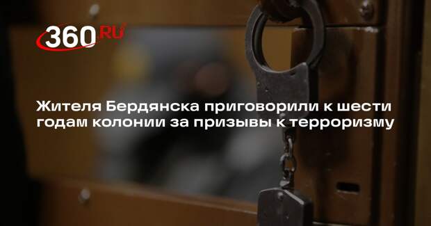 Жителя Бердянска приговорили к шести годам колонии за призывы к терроризму