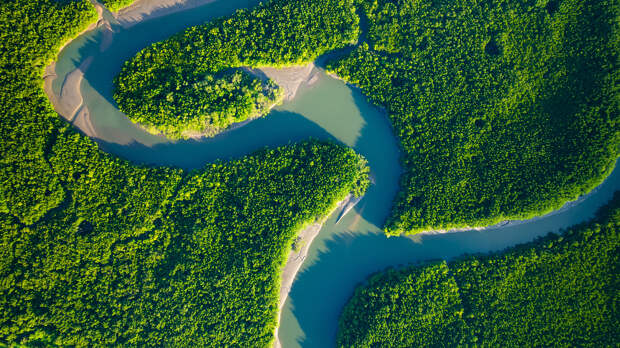 Почему одни реки делятся на рукава, а другие — нет