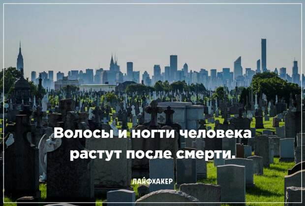 Невероятные научные факты