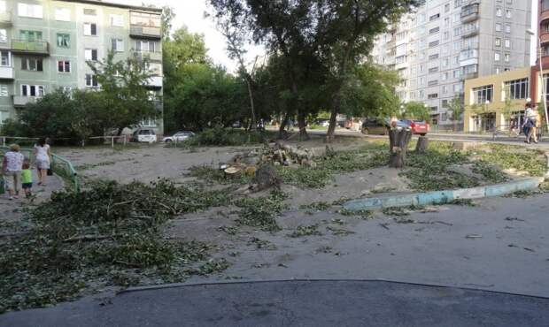 Жители дома пожаловались на вырубленные под парковку деревья Жители дома пожаловались на вырубленные под парковку деревья