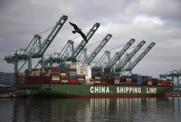 A bird flies past a container ship belonging to China Shipping Container Lines at the Port of Los Angeles in San Pedro, California August 20, 2014. REUTERS/Lucy Nicholson