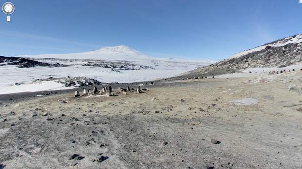 this-penguin-colony-lives-right-near-shackletons-hut-thats-mount-erebus-in-the-background-again