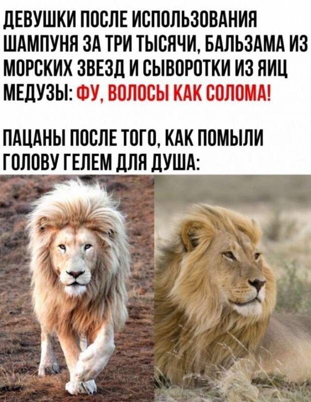 Взгляд на одни и те же вещи глазами мужчин и женщин