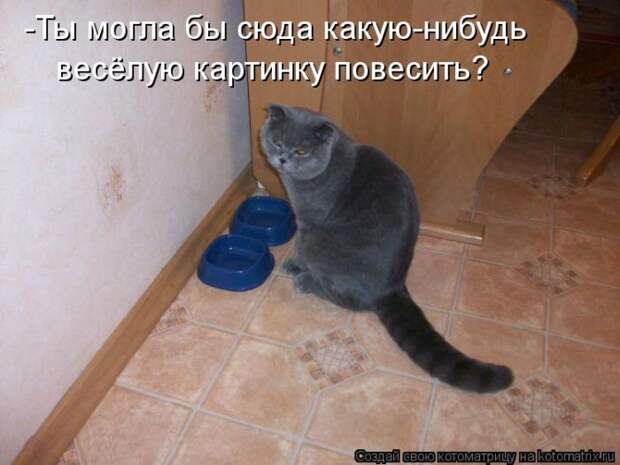 Лучшие котоматрицы недели Лучшие котоматрицы недели