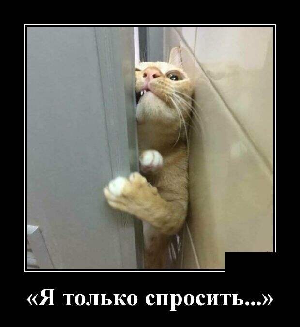 Демотиваторы (30 фото)