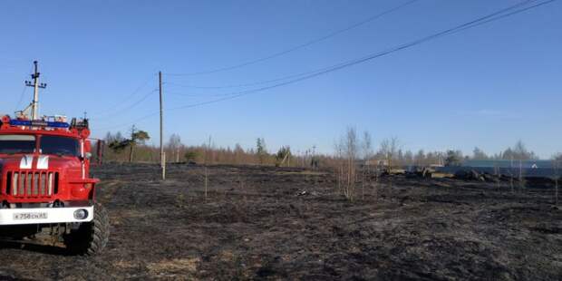 Опубликованы фото выжженных полей под Тверью