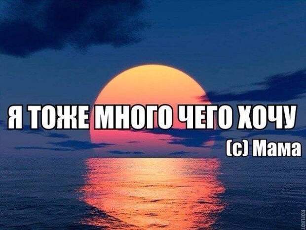Смешные картинки с подписями  юмор, картинки, прикол