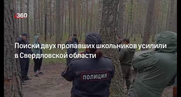 МВД: 500 человек привлекли к поиску брата и сестры в Свердловской области
