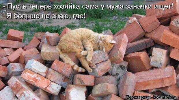 Демотиваторы и не только.