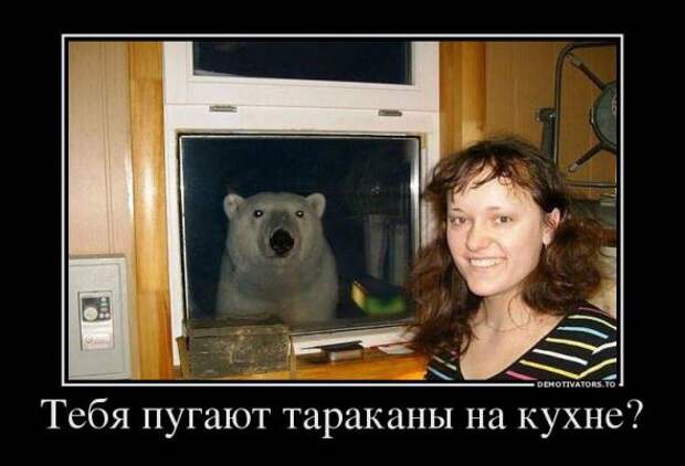 Немного новых демотиваторов