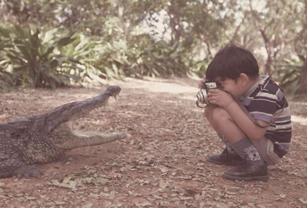 Из жизни фотографов курьезы, приключения, природа, репортаж, риск, фотография, фотографы, фоторепортаж