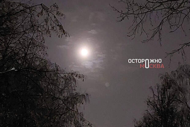 Ученый Богачев: снежную Луну можно будет увидеть в Москве в ночь на 1 февраля