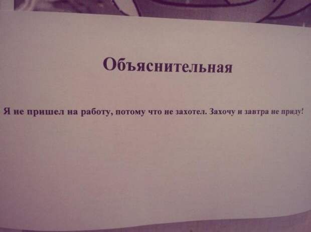 Смешные объяснительные  объяснительные, юмор