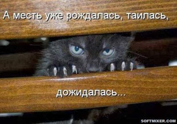 0832ca71d0d224ca6ec51562c8a_prev
